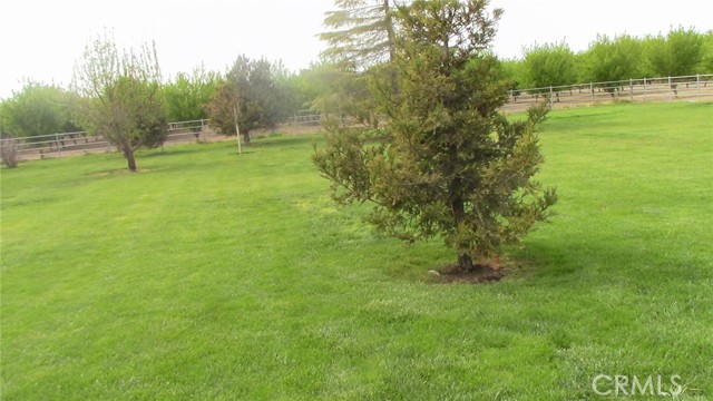 Side yard