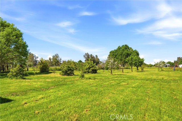 Detail Gallery Image 28 of 40 For 24065 Maria Road, Corning,  CA 96021 - 3 Beds | 2 Baths