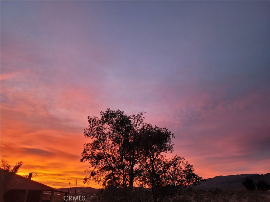 MLS #JT25267028 image #9