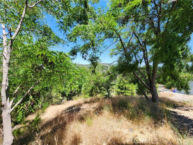 Detail Gallery Image 20 of 30 For 31912 Encina Way, Running Springs,  CA 92382 - – Beds | – Baths