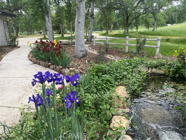 29503 Spence Lane, Tollhouse CA: https://media.crmls.org/medias/6810fcaf-123b-442e-a3eb-4484a728f02c.jpg