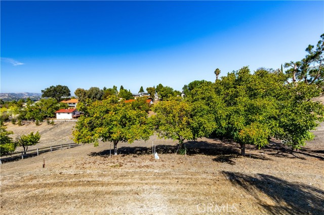 Detail Gallery Image 41 of 54 For 753 Walnut Dr, Paso Robles,  CA 93446 - 3 Beds | 2 Baths