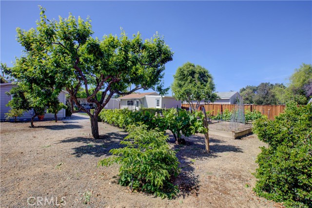 Detail Gallery Image 26 of 30 For 14793 Ronda, San Jose,  CA 95124 - 3 Beds | 1 Baths