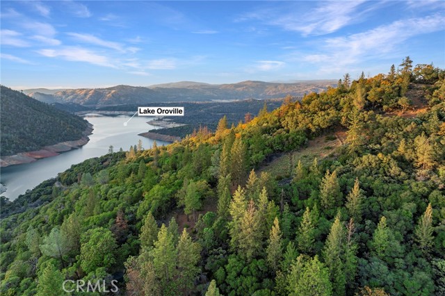 0 Wicks Way, Oroville, California 95966, ,Land,For Sale,0 Wicks Way,CROR23209304