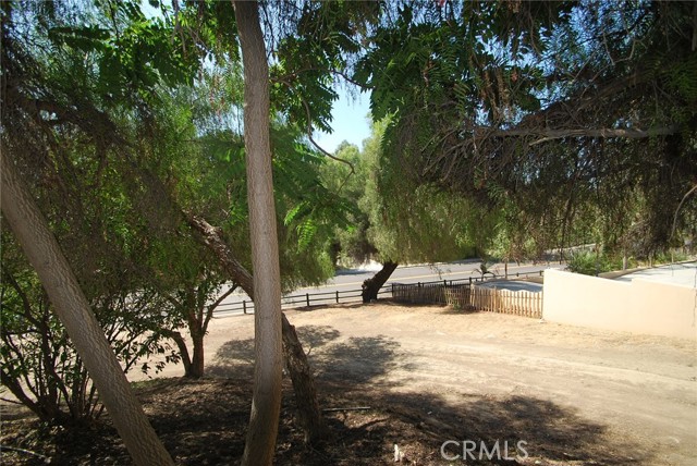 View from the driveway, near the house