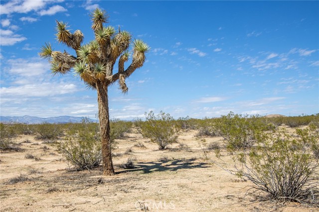 Detail Gallery Image 16 of 19 For 0 Sunny Sands, Joshua Tree,  CA 92252 - – Beds | – Baths