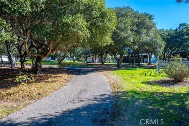 425 W El Campo Road, Arroyo Grande CA: https://media.crmls.org/medias/68348ff2-418a-4bcf-8306-49c140e145ee.jpg
