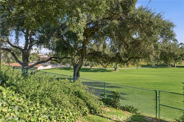 Detail Gallery Image 59 of 61 For 1805 Canyon Rd, Redlands,  CA 92373 - 4 Beds | 2/1 Baths