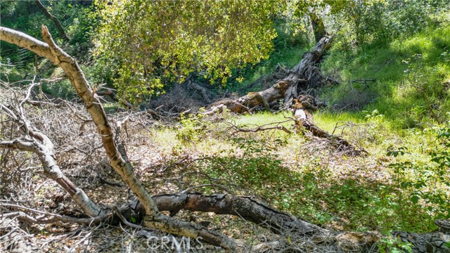 Detail Gallery Image 10 of 13 For 0 Tres Vista, Paso Robles,  CA 93446 - – Beds | – Baths