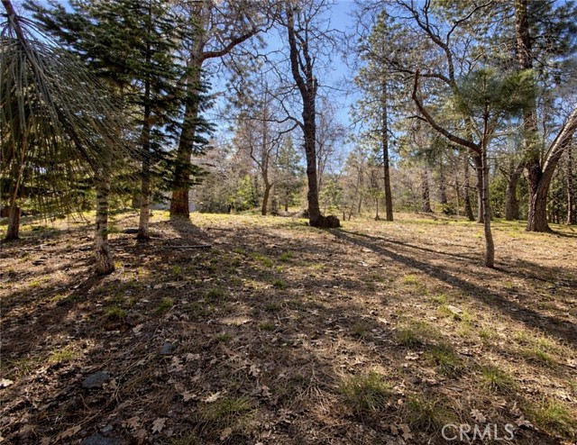 Detail Gallery Image 15 of 15 For 0 Oriole Rd, Wrightwood,  CA 92397 - – Beds | – Baths