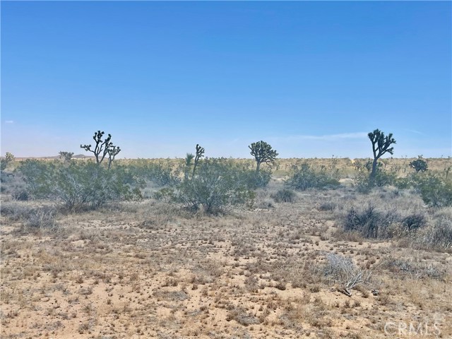 Detail Gallery Image 16 of 19 For 20 Acres, Yucca Valley,  CA 92285 - – Beds | – Baths