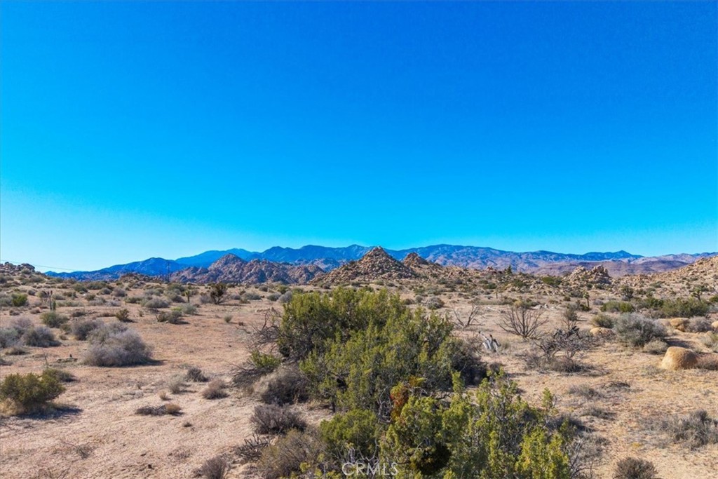 MLS #JT25250010 image #49