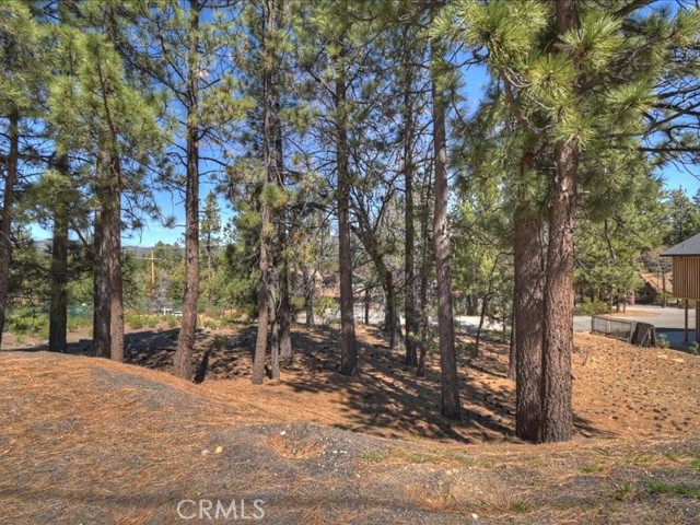 Detail Gallery Image 19 of 21 For 41711 Swizterland, Big Bear Lake,  CA 92315 - – Beds | – Baths