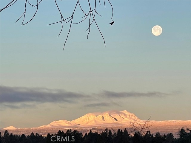 View from Tekampe Rd