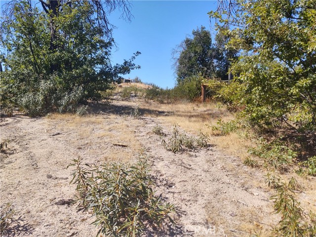 363 Raccoon Road, Berry Creek, California 95916, ,Land,For Sale,363 Raccoon Road,CROR24029245