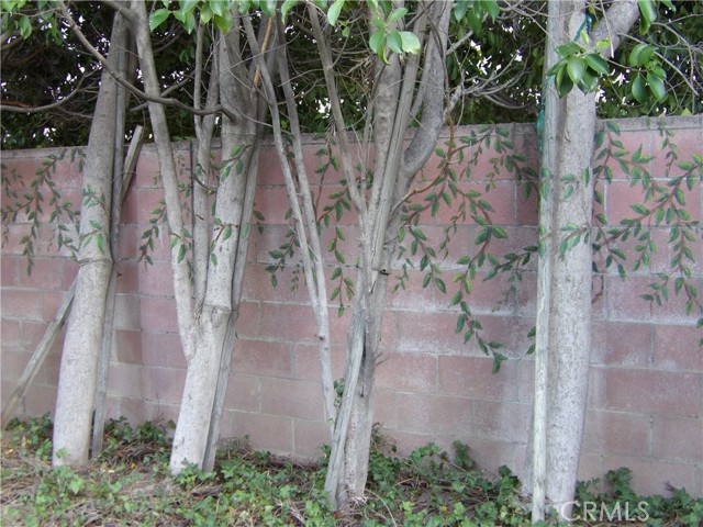 19260 Calahan Street photo 23