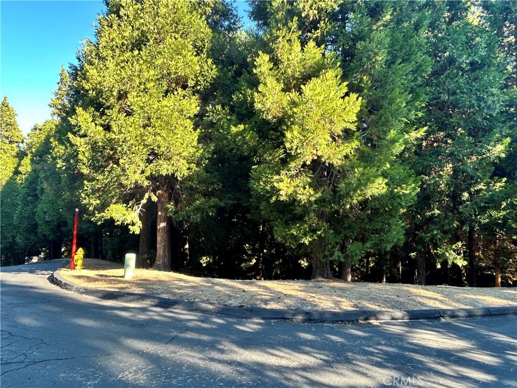 MLS #IG25176646 image #5