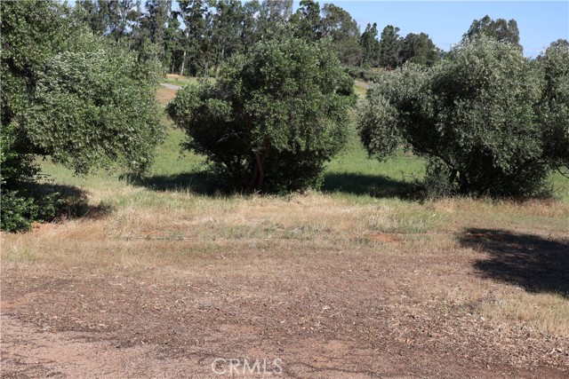 Detail Gallery Image 10 of 32 For 0 Carona Ave., Corning,  CA 96021 - – Beds | – Baths