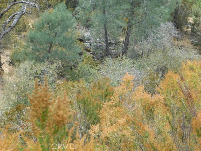 Detail Gallery Image 24 of 44 For 9890 Huer Huero Rd, Creston,  CA 93432 - – Beds | – Baths