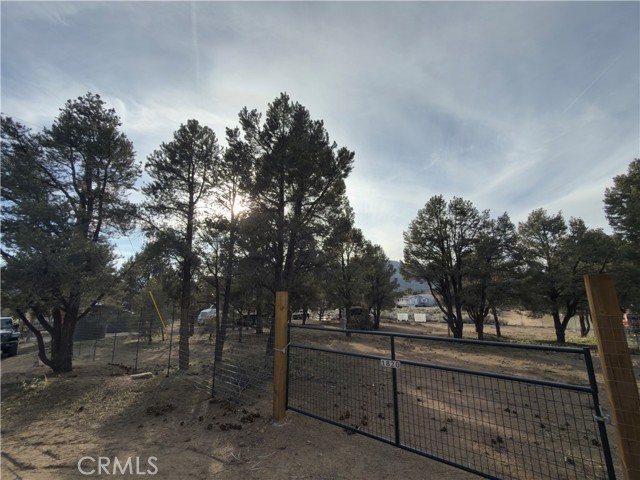 Detail Gallery Image 4 of 31 For 1820 Golden Rod, Big Bear City,  CA 92314 - – Beds | – Baths