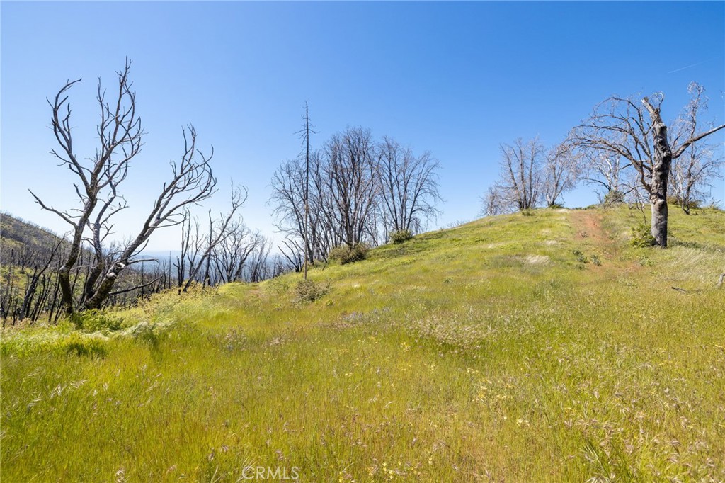 MLS #MP25088475 image #48