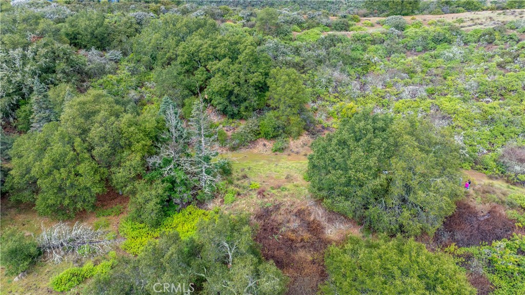 3395 Wallace Mountain Road