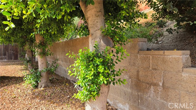 Detail Gallery Image 8 of 26 For 11852 N Birch Grove, Sylmar,  CA 91342 - 5 Beds | 3/1 Baths