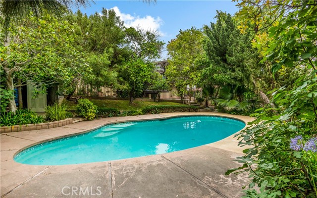 Pool deck looking back toward the house