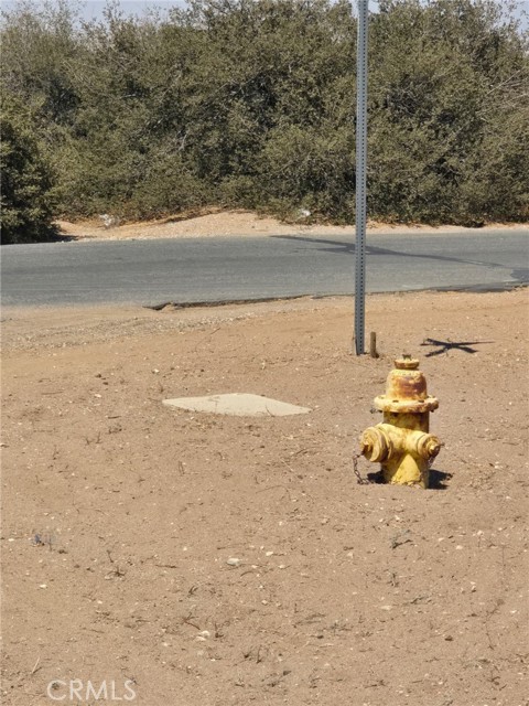 9602 Cedar Street, Phelan CA: https://media.crmls.org/medias/6863db67-df64-480c-9cbc-9206b7126292.jpg