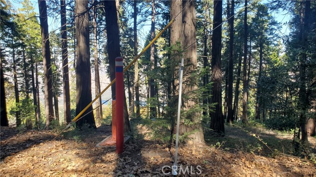 Detail Gallery Image 27 of 35 For 26 Peak Circle, Crestline,  CA 92322 - – Beds | – Baths