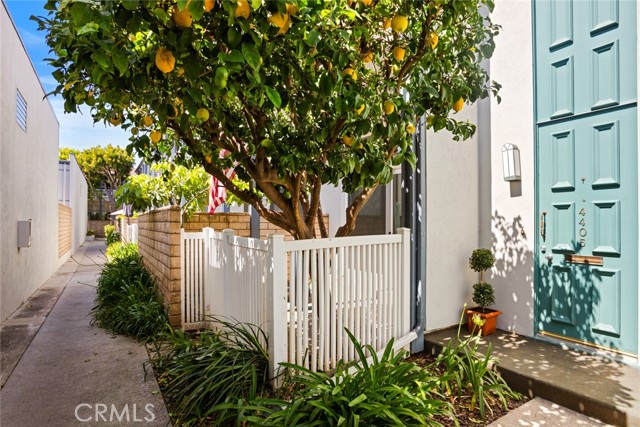 4405 W Sarah Street, Burbank CA: https://media.crmls.org/medias/686f3bf4-f4b0-4cef-9c35-41abefbd7339.jpg