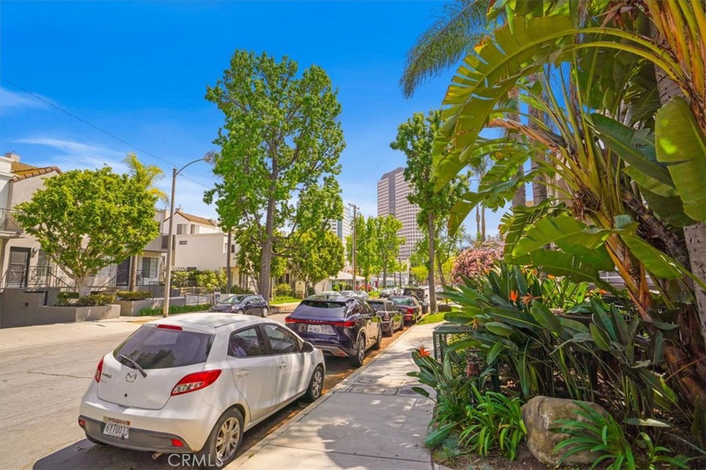 355 N Maple Street 223Burbank img 21