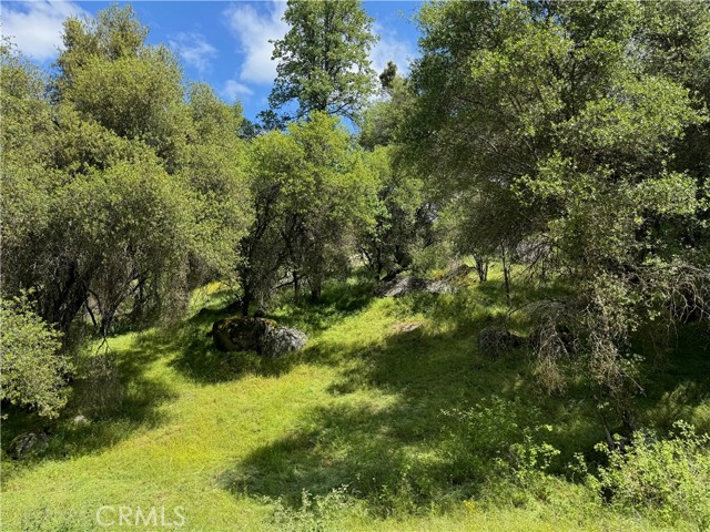 4516 Hirsch Road, Mariposa CA: https://media.crmls.org/medias/6882ecdf-db7e-453a-9d59-36eeecd476ad.jpg