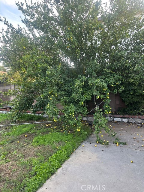 Detail Gallery Image 19 of 21 For 404 Sievers Ave, Brea,  CA 92821 - 2 Beds | 1 Baths