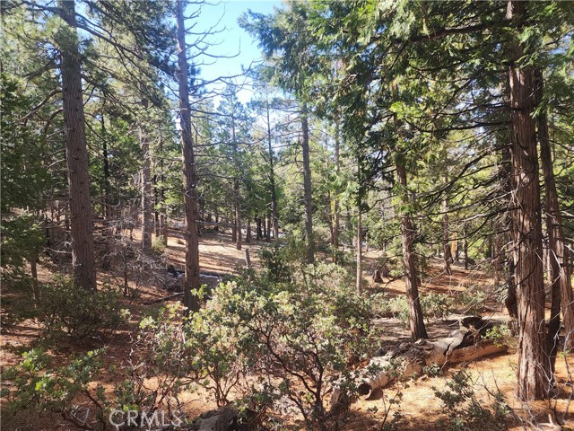 Detail Gallery Image 48 of 61 For 52547 Pine Cove Rd, Idyllwild,  CA 92549 - – Beds | – Baths