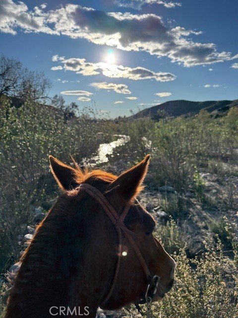 Detail Gallery Image 41 of 41 For 11519 Orcas Ave, Sylmar,  CA 91342 - 3 Beds | 2 Baths