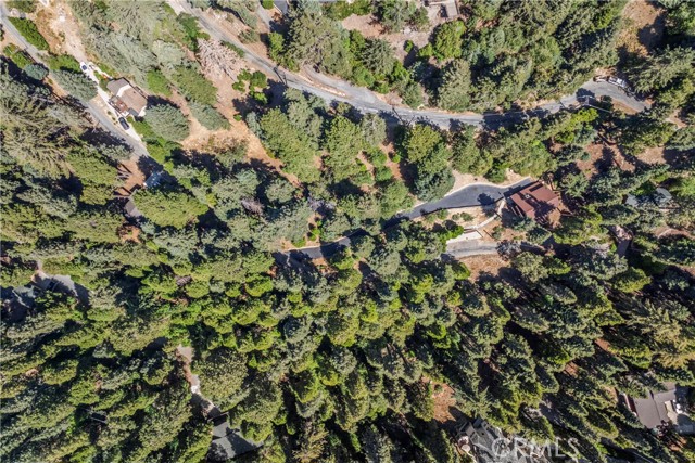 Detail Gallery Image 68 of 69 For 899 Blue Ridge, Lake Arrowhead,  CA 92385 - 3 Beds | 2 Baths