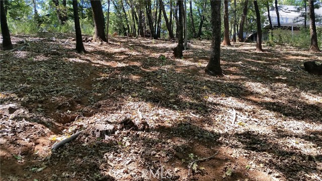 Front Image Thumbnail for CRSN26069907