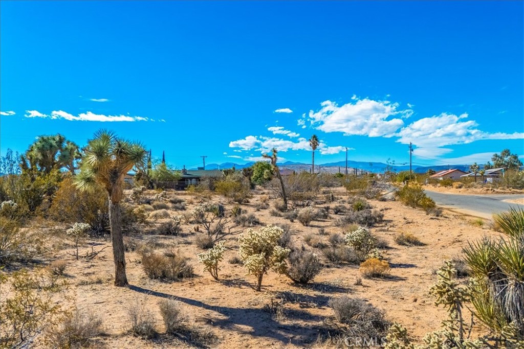 MLS #JT25260837 image #18