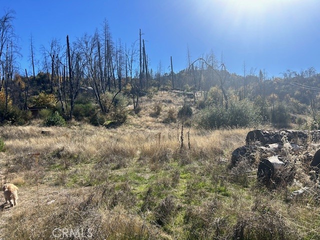 Detail Gallery Image 9 of 39 For 0 Craig Access, Feather Falls,  CA 95940 - – Beds | – Baths