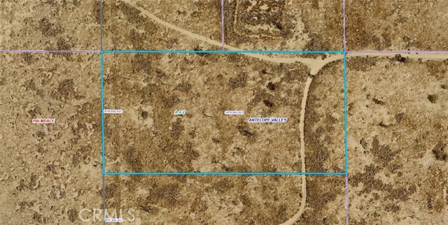 Front Image Thumbnail for CRSR26178629