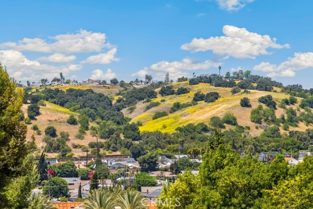 2819 Steeplechase Lane, Diamond Bar CA: https://media.crmls.org/medias/68a8498e-a209-4b8b-afed-df5363e457f0.jpg