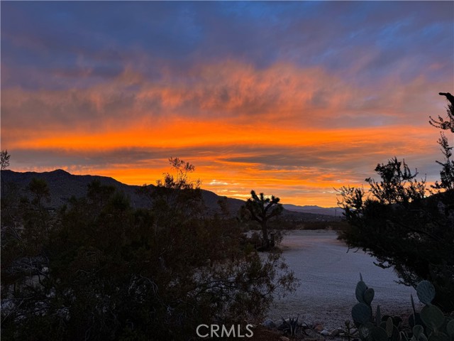 8775 Desert Shadow Road, Joshua Tree CA: https://media.crmls.org/medias/68aa76a1-6896-4523-a2de-30787f027b18.jpg