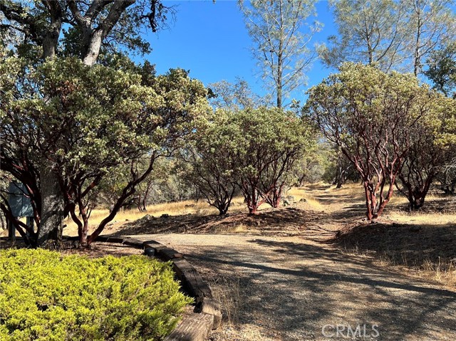 Detail Gallery Image 16 of 21 For 110 Roemelt Ln, Oroville,  CA 95966 - 3 Beds | 2 Baths