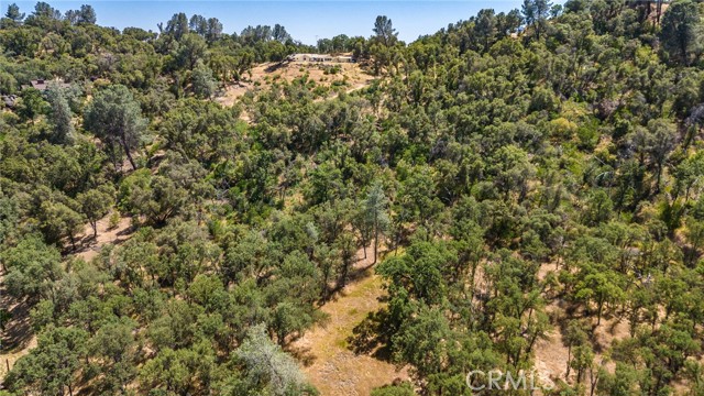 Detail Gallery Image 57 of 60 For 4244 Woodview Ln, Mariposa,  CA 95338 - 4 Beds | 3 Baths