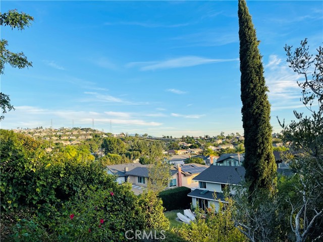 68b56448 8563 4002 A8a5 03e90467e4df