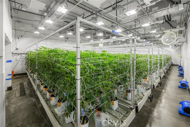 Image 33 of 54 For 44211 Yucca