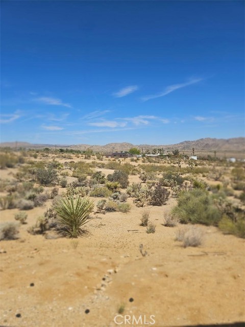 61391 Alta Vista Drive, Joshua Tree CA: https://media.crmls.org/medias/68bd3f8c-efca-44a3-b9f6-3ea4fdde46aa.jpg