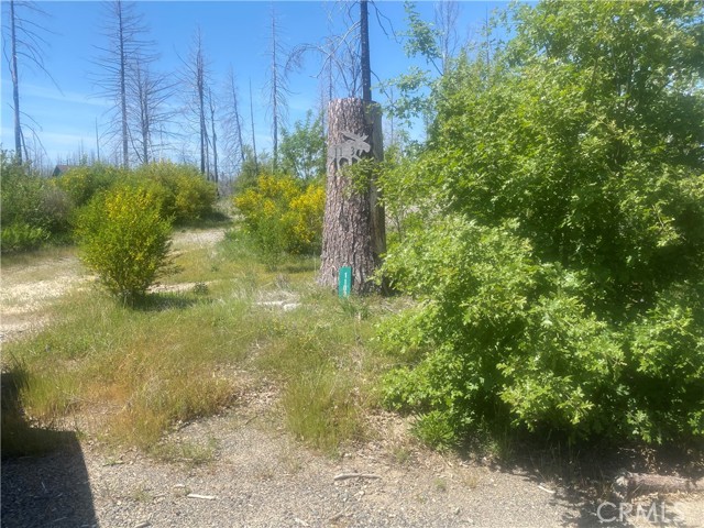 Detail Gallery Image 4 of 24 For 1103 Bald Rock Rd, Berry Creek,  CA 95916 - – Beds | – Baths