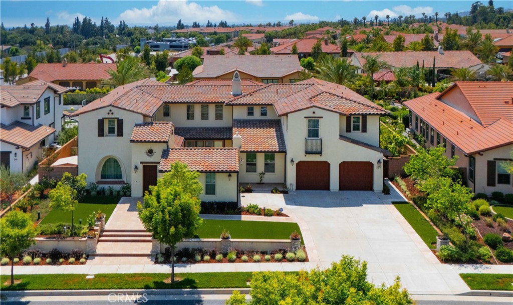 253 Clementine Court